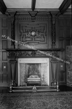 MALLOW CASTLE FIREPLACE IN ANTE ROOM